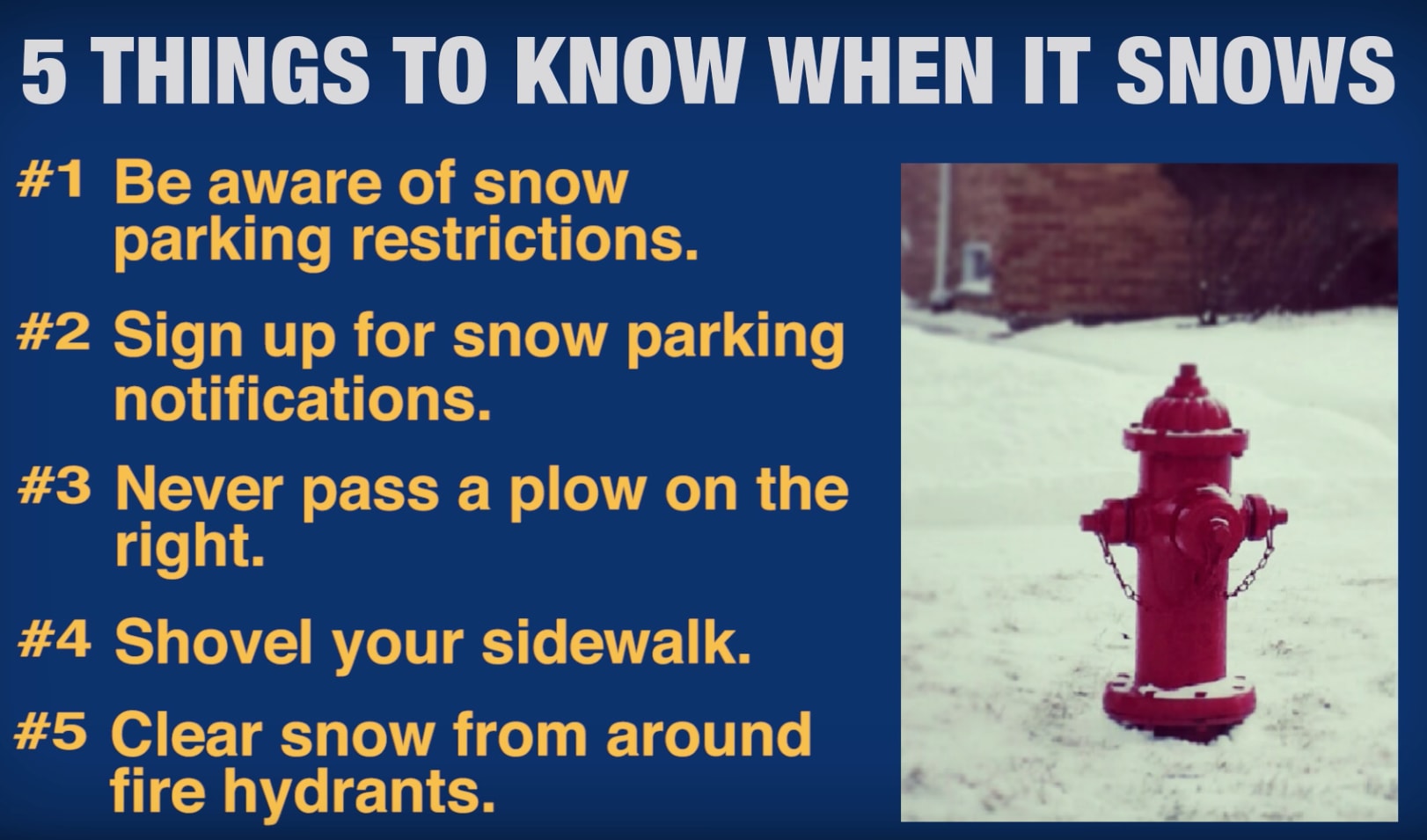 5 Things To Remember When It Snows